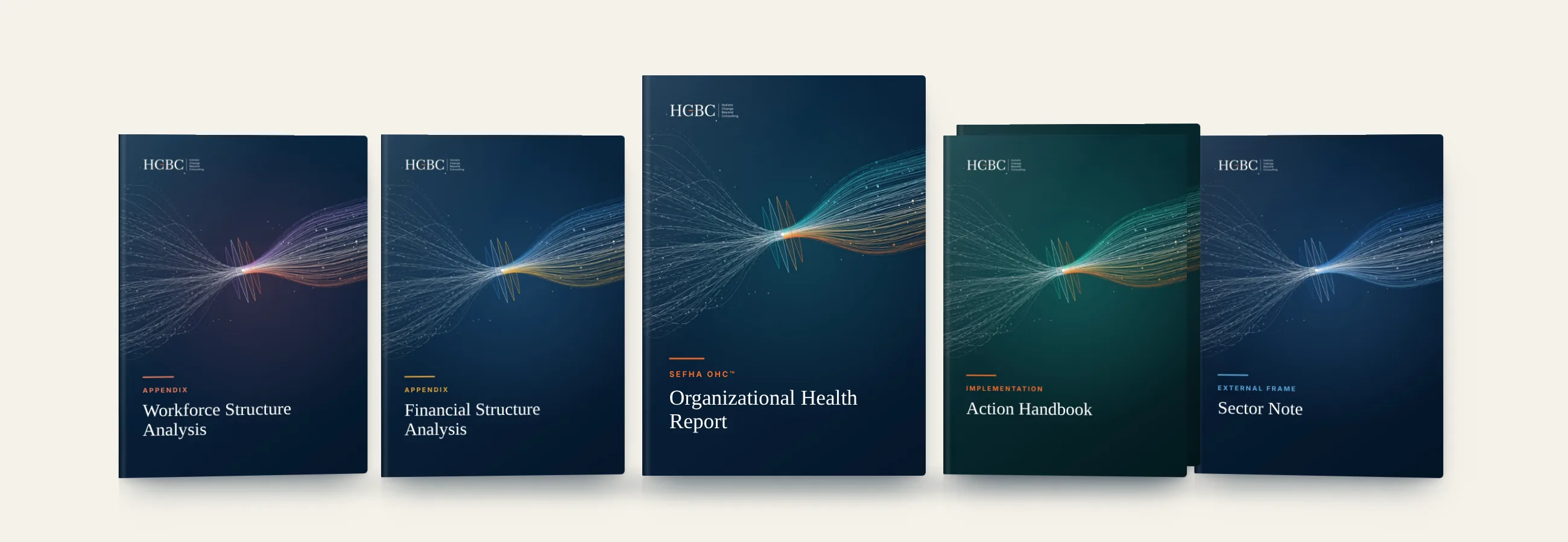 SEFHA OHC™ delivery set: Organizational Health Report, Financial Structure Analysis, Workforce Structure Analysis, Action Handbook and Sector Note booklets
