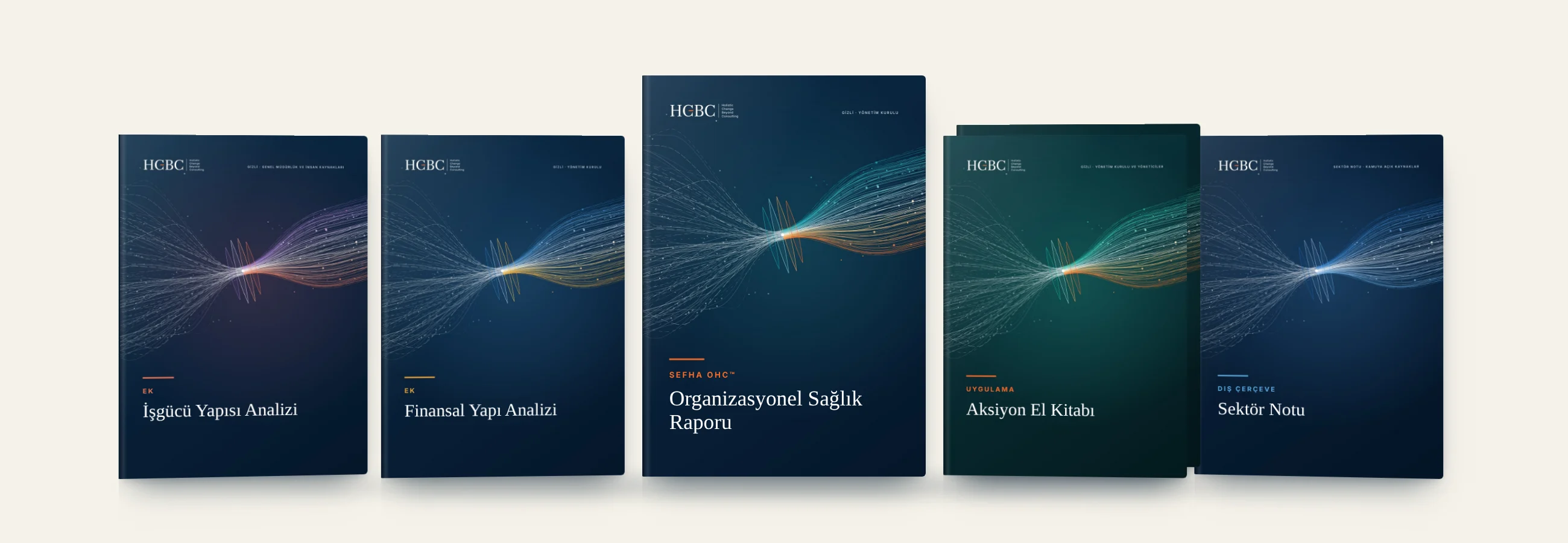 SEFHA OHC™ teslim seti: Organizasyonel Sağlık Raporu, Finansal Yapı Analizi, İşgücü Yapısı Analizi, Aksiyon El Kitabı ve Sektör Notu kitapçıkları